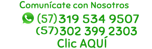 Whatsapp (57) 301 301 9153